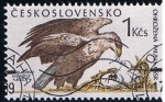 Stamps Czechoslovakia -  Scott  2747  Haliaeetus albicilla