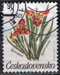 Stamps Czechoslovakia -  Scott  2781  Tigridia pavonia (2)