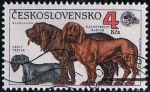 Stamps Czechoslovakia -  Scott  2798  Czech Terrier