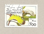Stamps Asia - Afghanistan -  Cerura vinula