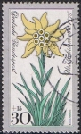 Stamps Germany -  FLORA DE LOS ALPES. EDELWEISS