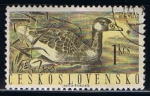 Stamps Czechoslovakia -  pato