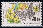 Stamps Czechoslovakia -  Scott  2456  Buttected violets