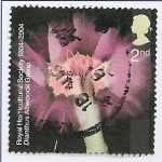 Stamps United Kingdom -  Flores