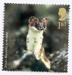 Stamps United Kingdom -  Fauna. Animales del bosque.