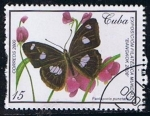 Stamps Cuba -  Scott  4063  Pantopotia punctata