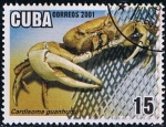 Stamps Cuba -  Scott  4161  Cardisoma guanhumi