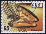 Sellos de America - Cuba -  Scott  4162  Mytius edulis