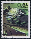 Stamps Cuba -  Scott  4310  Nymphaea ampla,Lepisosteus tristoechus