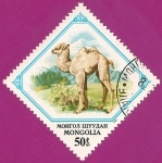 Stamps Mongolia -  Camello