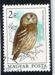 Stamps Hungary -  AVES.  MAGYAR POSTA