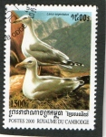 Sellos de Asia - Camboya -  AVES.  LARUS  ARGENTATUS