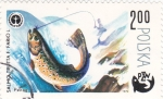 Stamps Poland -  pesca