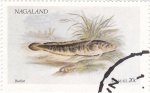 Stamps Nagaland -  peces