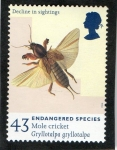 Stamps United Kingdom -  Yvert: 2015- FLORA Y FAUNA.  ESPECIES EN EXTINCION.