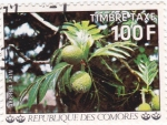 Stamps Comoros -  frutas tropicales