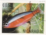 Sellos del Mundo : America : Nicaragua : peces