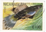 Sellos del Mundo : America : Nicaragua : peces