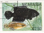 Sellos del Mundo : America : Nicaragua : peces