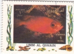 Stamps United Arab Emirates -  peces tropicales