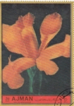 Stamps : Asia : United_Arab_Emirates :  flores