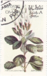 Stamps Oman -  flores