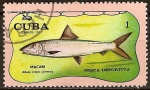 Stamps Cuba -  Pesca deportiva (Macabi).