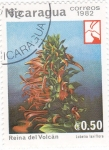 Stamps Nicaragua -  flores