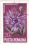 Stamps Romania -  flores