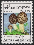 Sellos del Mundo : America : Nicaragua : SETAS-HONGOS: 1.201.011,01-Morchella esculenta -Dm.990.28-Y&T.A1314-Mch.3001