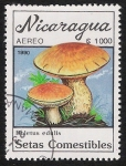 Sellos de America - Nicaragua -  SETAS-HONGOS: 1.201.012,01-Boletus edulis -Dm.990.29-Y&T.A1315-Mch.3002