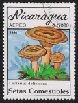 Sellos de America - Nicaragua -  SETAS-HONGOS: 1.201.013,01-Lactarius deliciosus -Dm.990.30-Y&T.A1316-Mch.3003