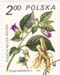 Stamps Poland -  flores