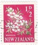 Stamps New Zealand -  flores