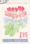 Stamps Romania -  flores