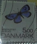 Stamps : Europe : Denmark :  SELLO POSTAL mariposa azul DINAMARCA 1993