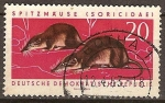 Stamps Germany -  Utiles animales protegidos-las musarañas (Soricidae)DDR