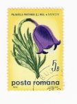 Sellos del Mundo : Europe : Romania : Pulsatilla Pratensis