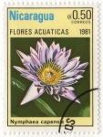 Sellos de America - Nicaragua -  FLORES ACUATICAS.- Nymphaea Capensis