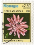 Sellos del Mundo : America : Nicaragua : FLORES ACUATICAS.- Nymphaea ' B.G. Berry '