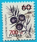 Stamps Poland -  Plantas medicinales - Enebro