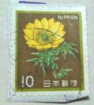 Stamps Japan -  Amur adonis  flor