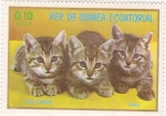 Stamps Equatorial Guinea -  gatos europeos