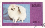 Stamps Nagaland -  perros-Pomeranian