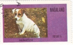 Stamps Nagaland -  perros-Jack Rusell Terrier