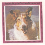 Stamps Equatorial Guinea -  perros-Collie