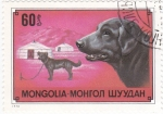 Sellos de Asia - Mongolia -  Perros