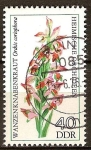 Stamps Germany -  Orquídeas nativas.-Errores orquídea, Orchis coriophora(DDR)