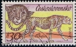 Sellos de Europa - Checoslovaquia -  2183 - guepardo