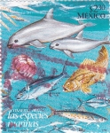 Stamps Mexico -  especies marinas